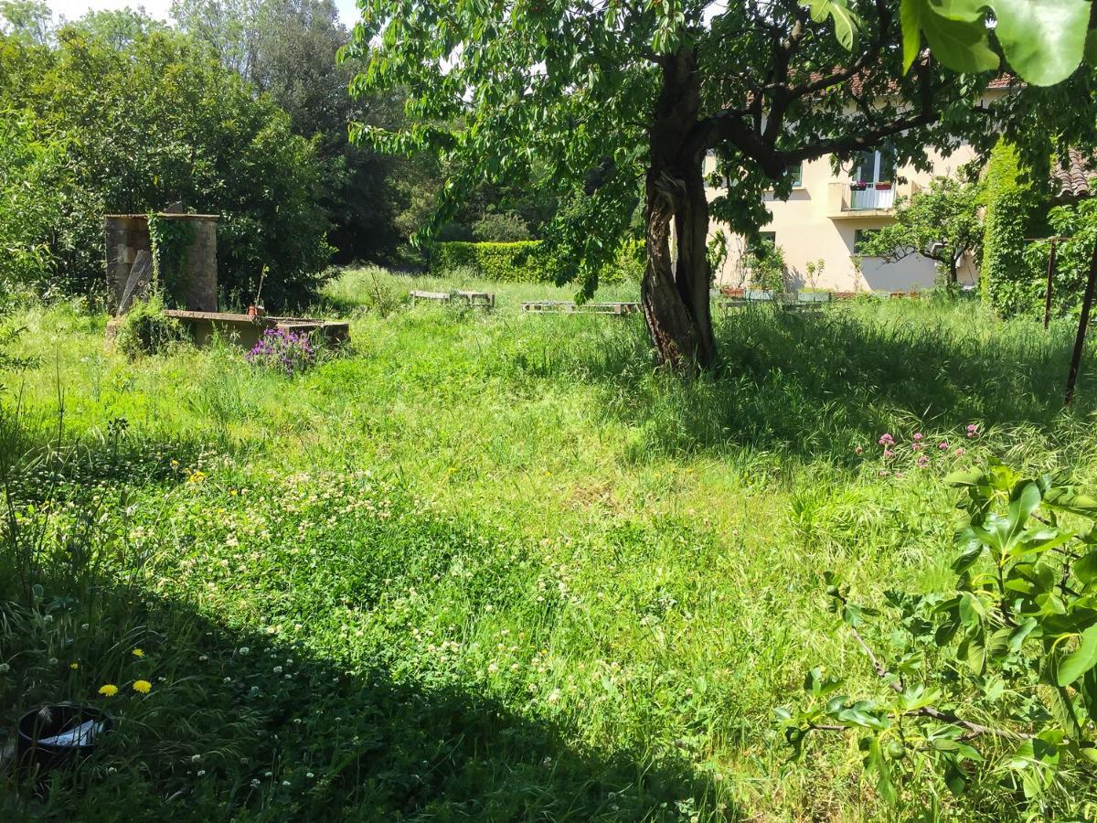 Le Mas Du Figuier, Maison De Vacances Le Bousquet-d'Orb Eksteriør billede